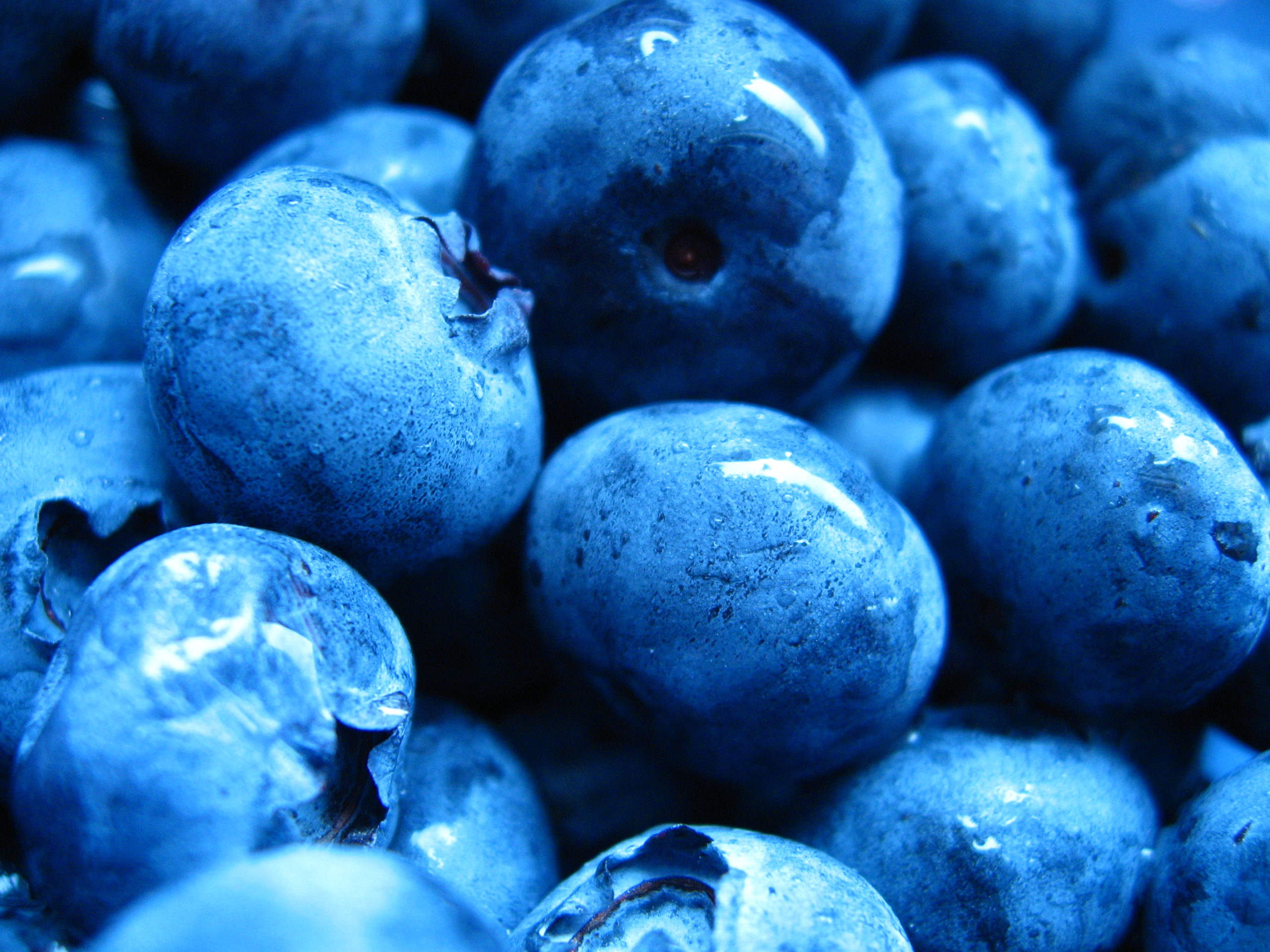 blueberries-1323372